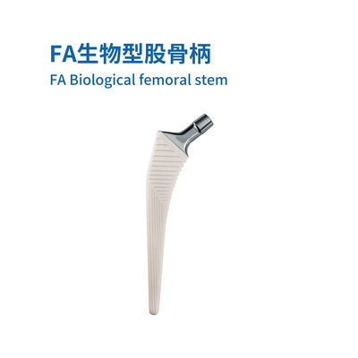FA生物型股骨柄