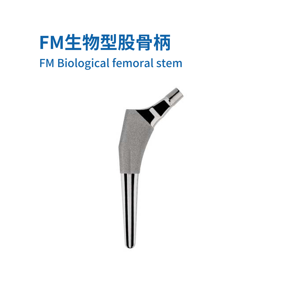 FM生物型股骨柄