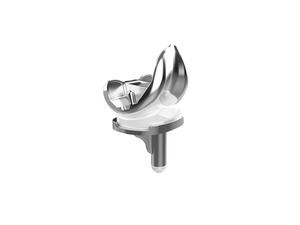 全膝關(guān)節(jié)系統(tǒng)