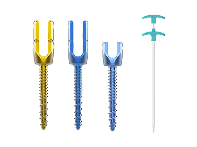 CanIVY骨水泥釘系統